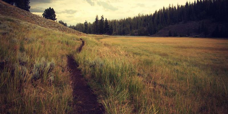 中间思想者的力量：为何在社区论坛展示“脆弱性”能加速个人成长与集体智慧