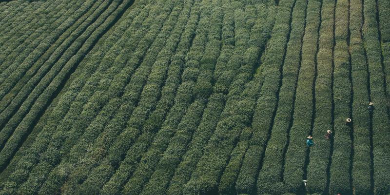 中间思想者的栖息地：图书馆、咖啡馆与广场如何催化哲学讨论与个人成长