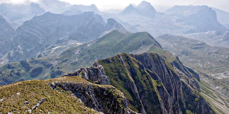 从社区论坛到哲学讨论：思想交流如何成为高效团队协作的基石