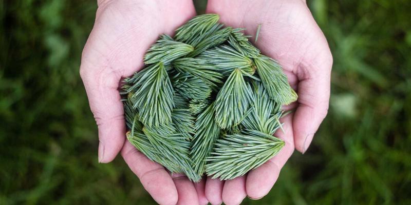 思想交流100：在观点碰撞中实现个人成长的跃迁