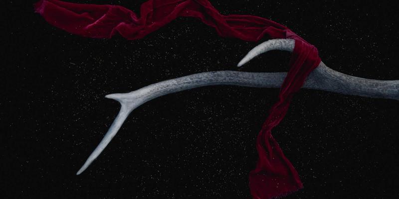 思想交流24：在哲学讨论与社区碰撞中实现个人成长