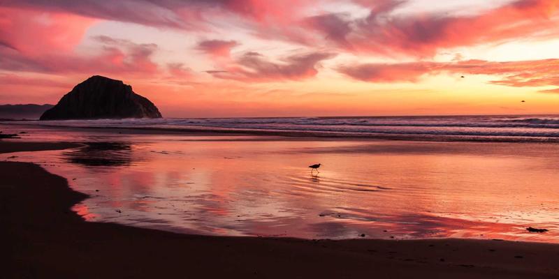 思想交流38：成为中间思想者，开启个人成长新维度