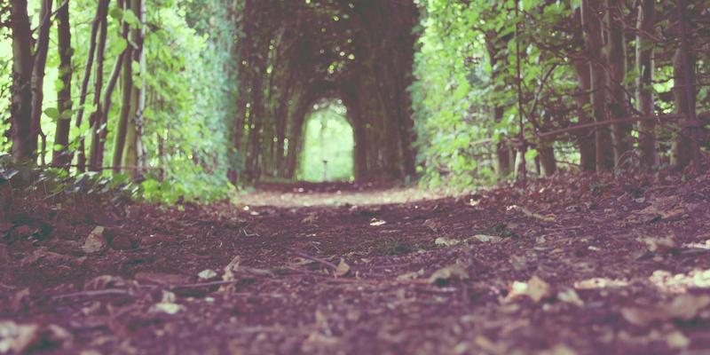 思想交流5：观点分享如何成为个人成长的哲学实践