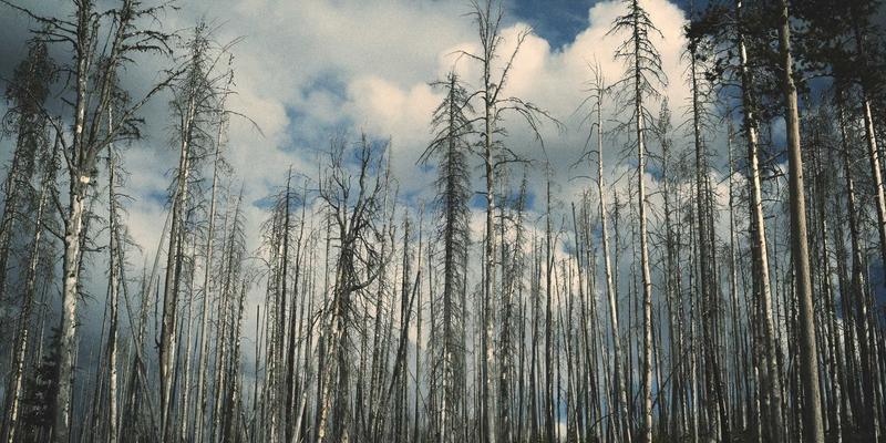 思想交流68：在个人成长与哲学讨论之间，成为清醒的“中间思想者”