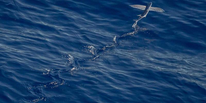 思想交流6：在哲学讨论中深化观点分享的现代意义