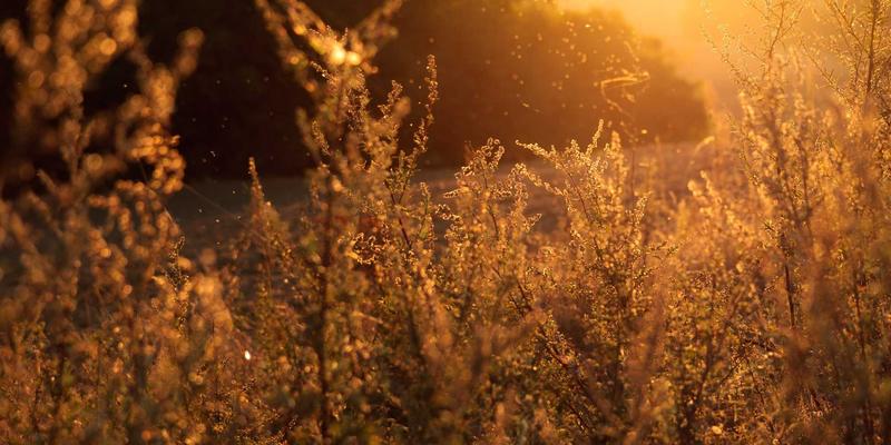 思想交流74：在哲学讨论与观点分享中，如何实现真正的个人成长？