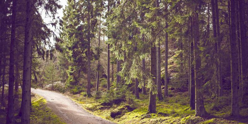 思想交流81：在“中间思想者”的桥梁上，实现真正的观点分享与碰撞