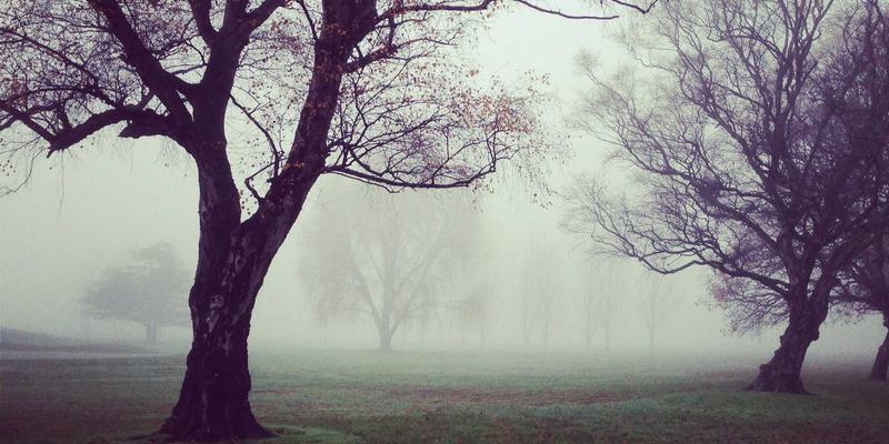 思想交流9：在观点分享与哲学讨论中重塑数字时代的社区论坛