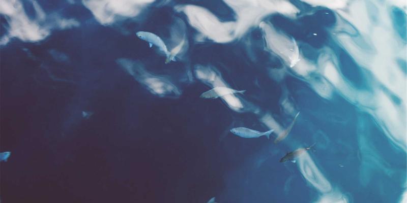 思想交流如何塑造历史：哲学讨论与观点分享在关键转折点上的隐秘力量