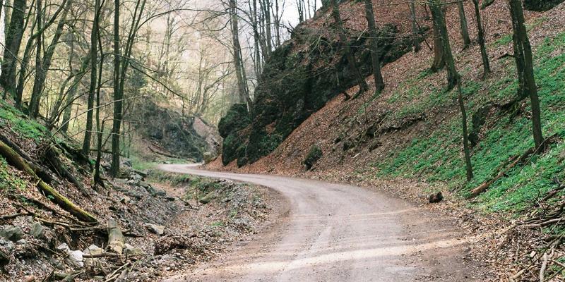 思想交流如何重塑我们的认知：从观点分享到社区论坛的进化之路