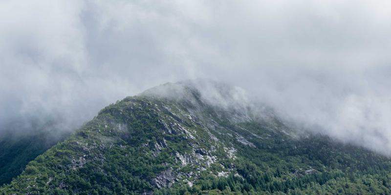 思想交流：成为“中间思想者”，开启个人成长的新维度