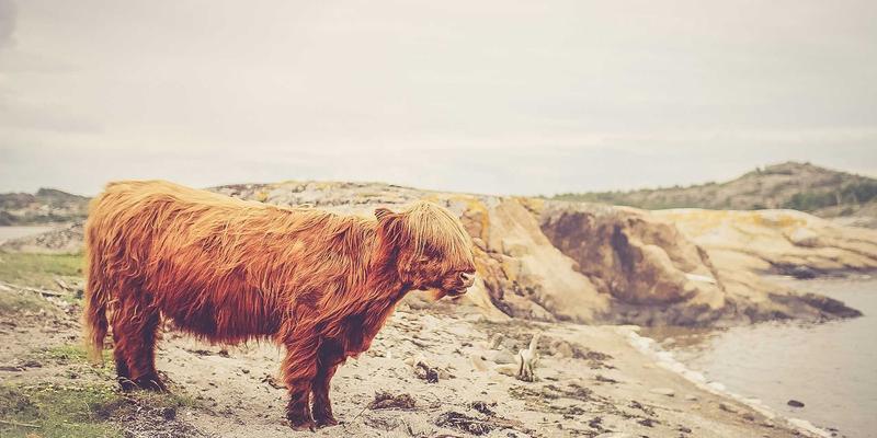 思想交流攻略：在观点分享中实现个人成长与社区共建