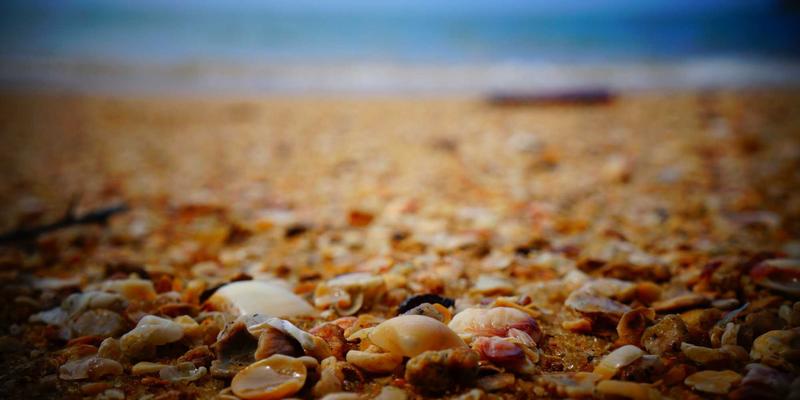 思想交流的桥梁：从‘中间思想者’看哲学讨论如何促进深度观点分享