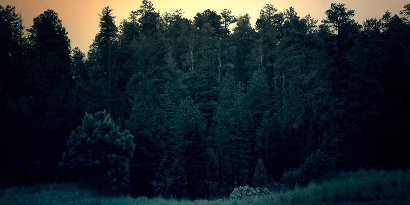 思想如何重塑大脑：从观点分享到哲学讨论的神经科学革命