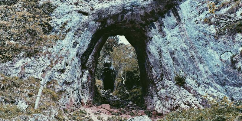 思想嫁接：成为“中间思想者”，通过跨学科交流实现个人成长与哲学创新