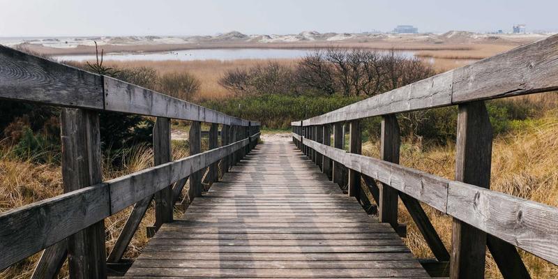思想市场理论在数字时代的演变：社区论坛如何重塑哲学讨论与中间思想者