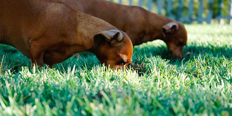成为中间思想者：在哲学讨论中识别与克服认知偏差