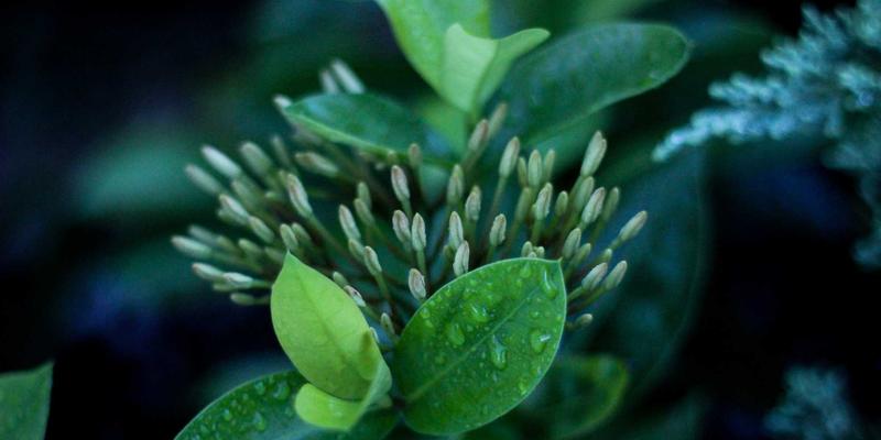 成为中间思想者：如何在哲学讨论中超越身份标签进行观点分享