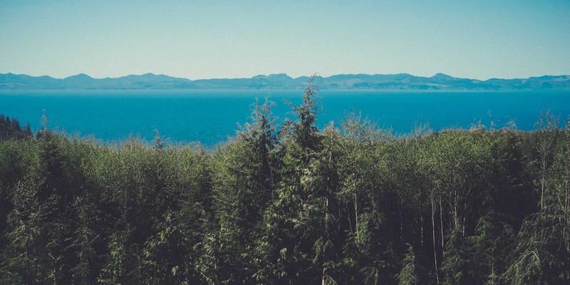 构建思想绿洲：社区论坛如何吸引中间思想者并深化哲学讨论