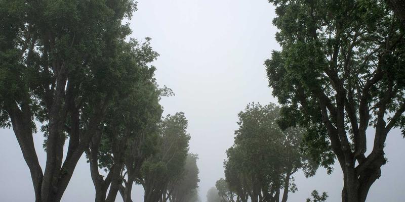 社区论坛中的认知偏差识别：提升观点分享与个人成长的心理学路径