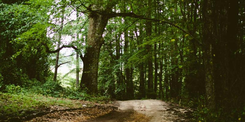 观点分享的艺术：成为中间思想者，在思想交流中训练共情能力